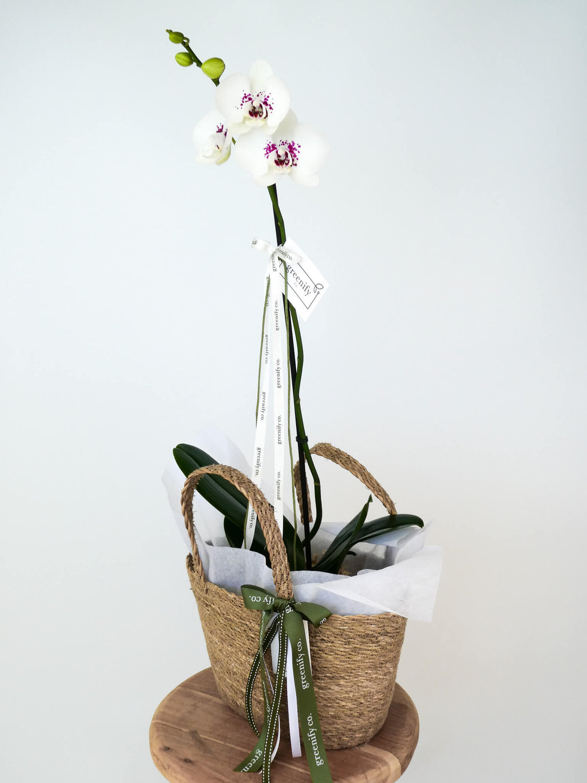 A potted white orchid with green leaves and stems, arranged in a woven natural fiber basket with white tissue paper, a green ribbon, and a small hanging tag, set on a round wooden stand against a plain light background.