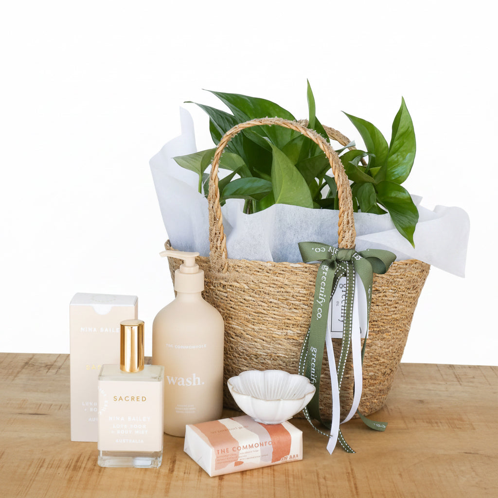 Sacred 🩷