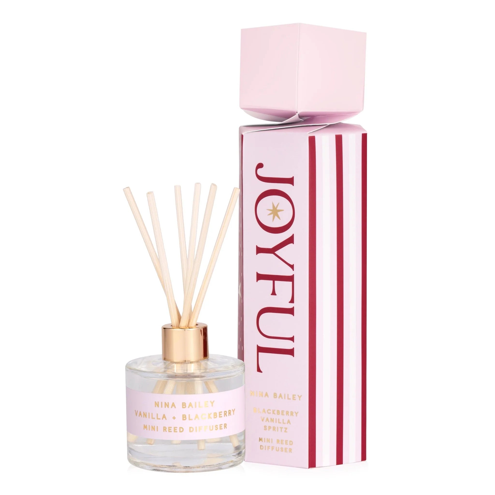 Nina Bailey Mini Reed Diffuser Christmas Scent