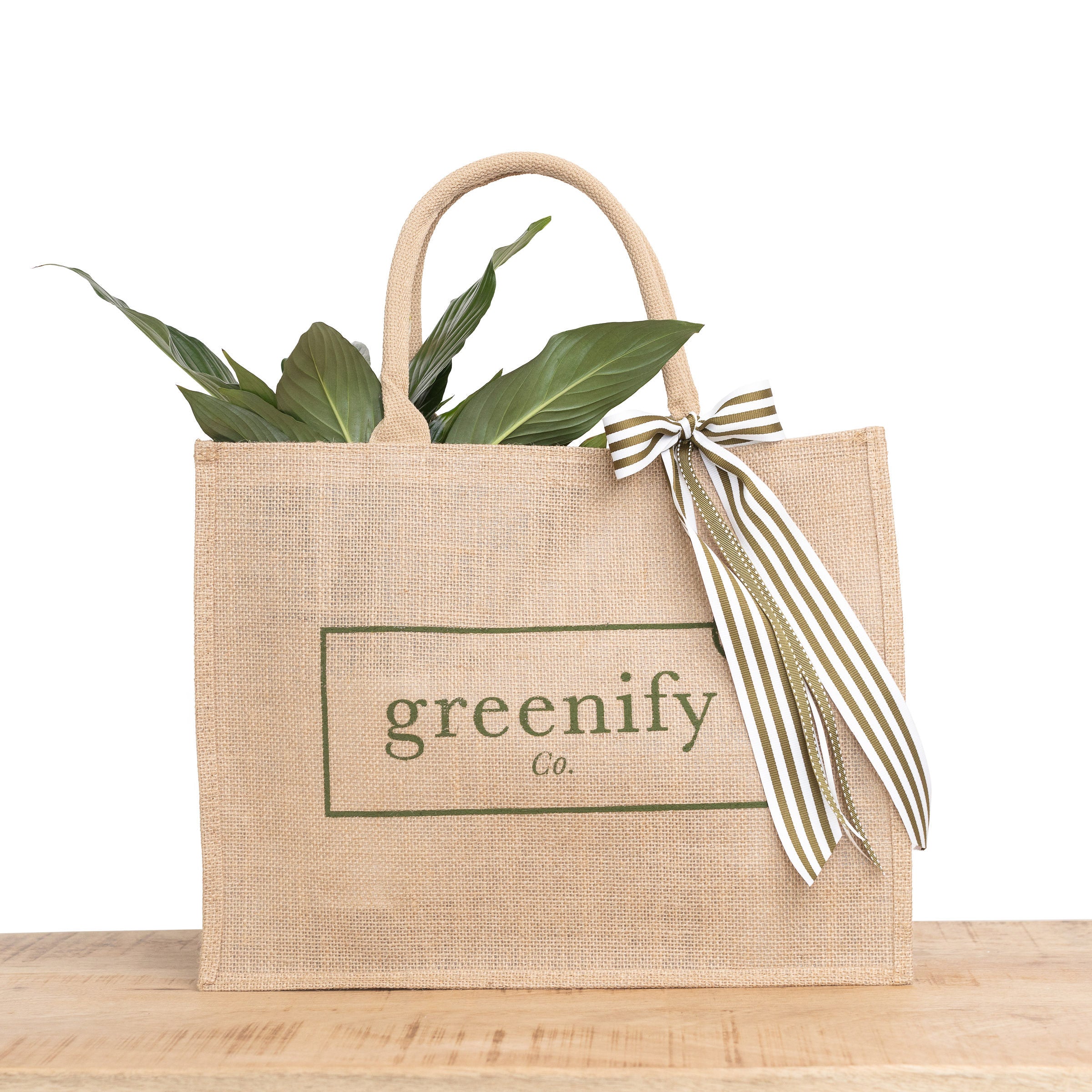 Greenify Co. Gift Bag with Peace Lily