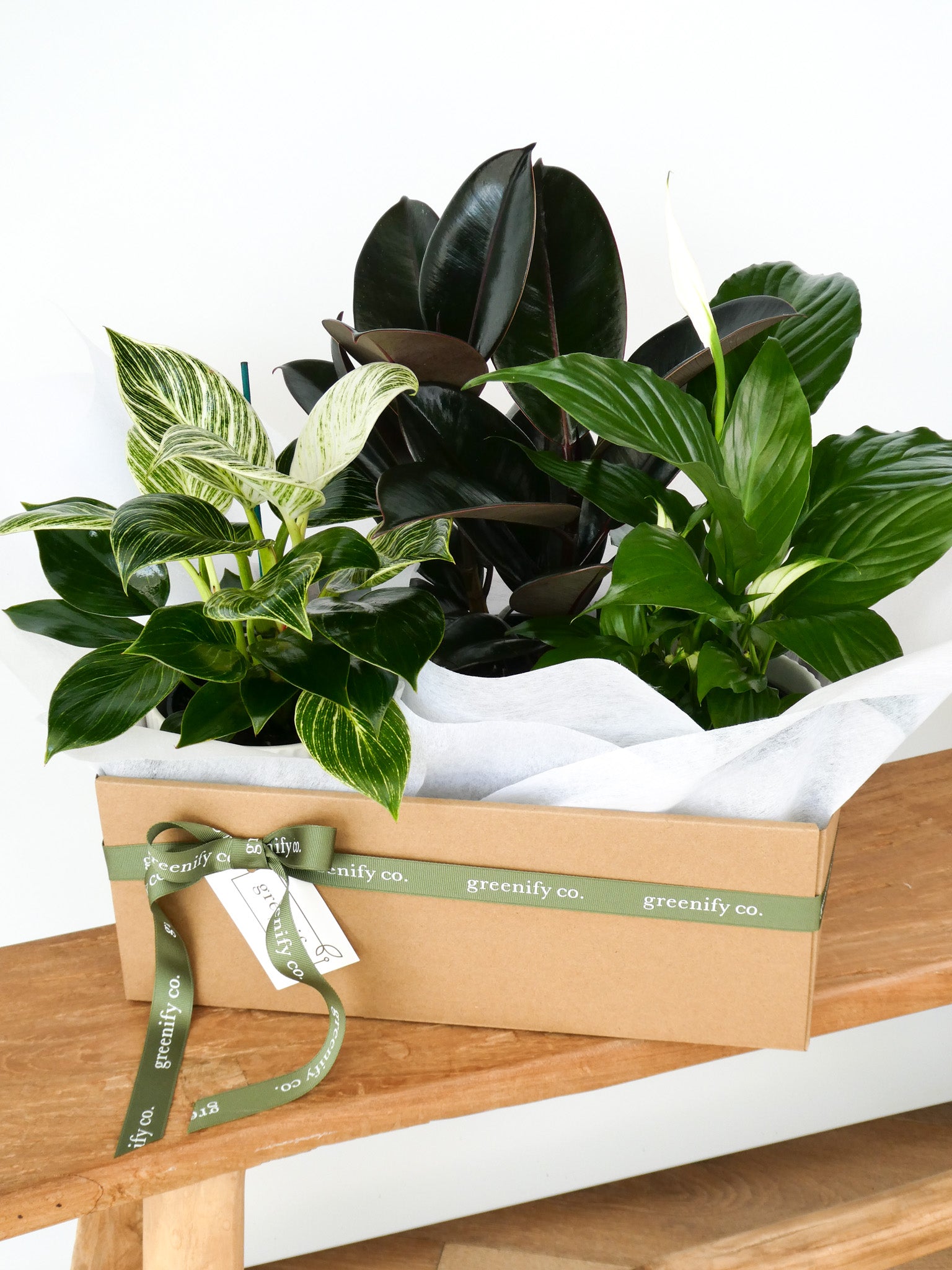 A curated indoor plant box arrangement from Greenify Co., featuring a variety of green houseplants including a variegated Calathea and a dark rubber plant, presented in a brown cardboard box with a green ribbon and tissue paper.