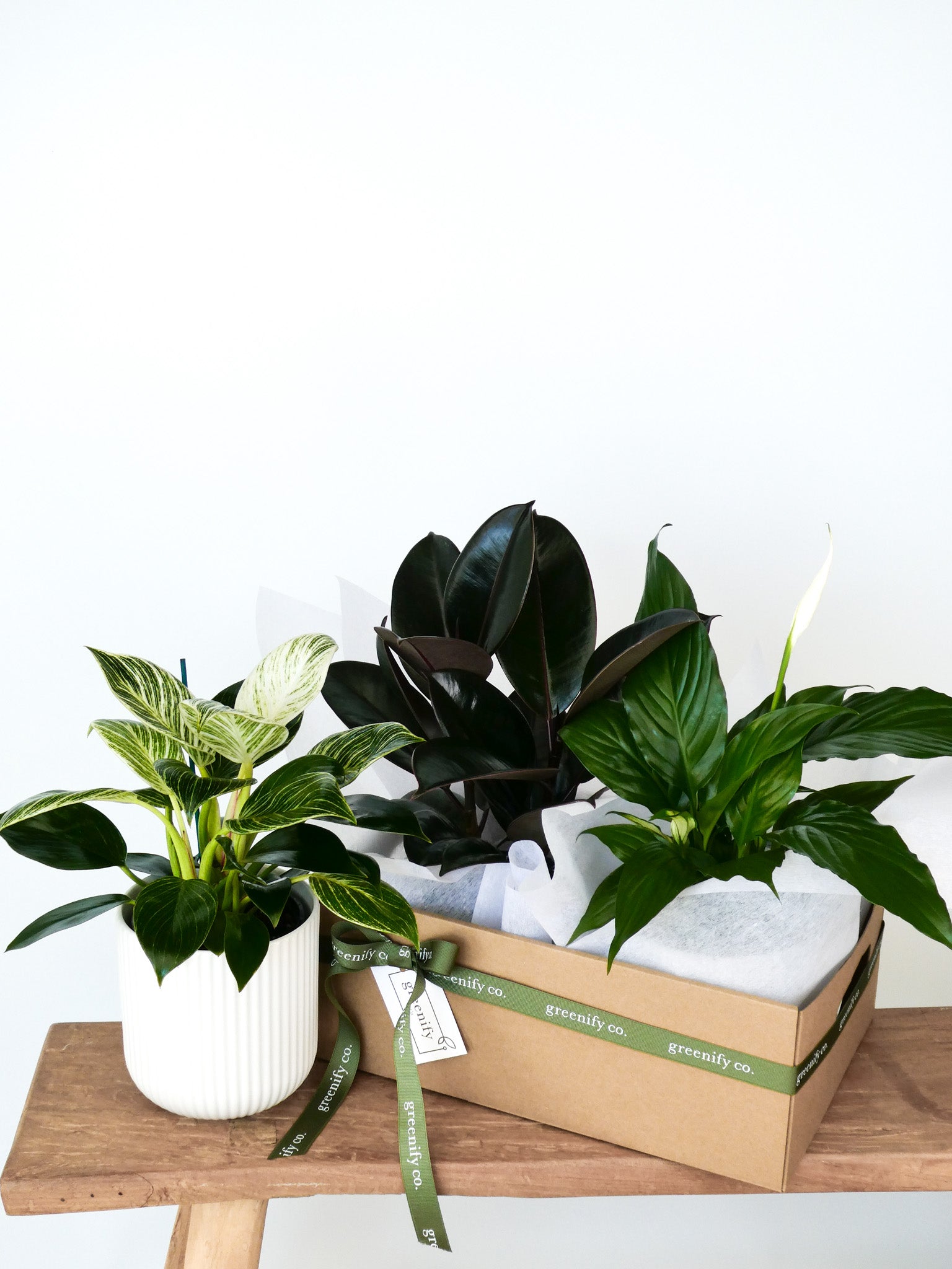 3 Plant Bundle