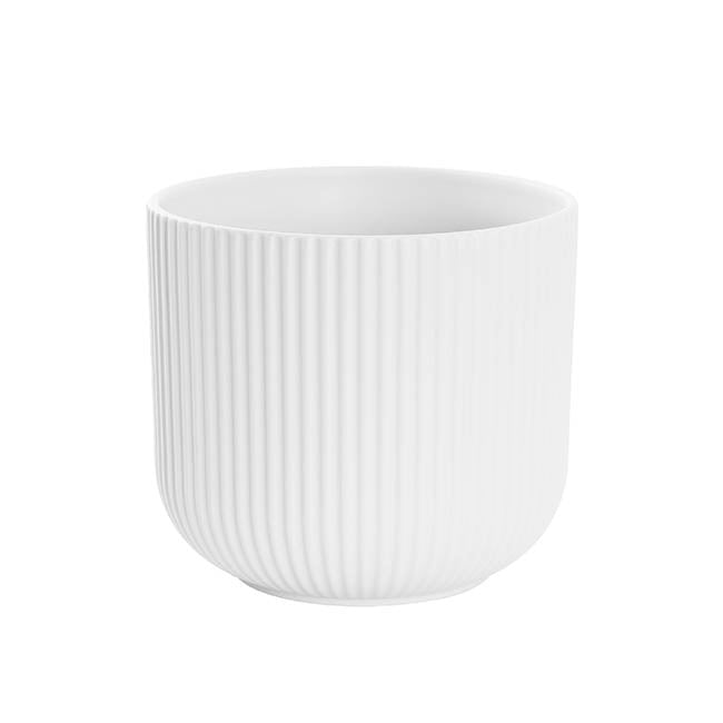 Round Ribbed Pot White White Ribbed Pot - Large | Perth Plant Delivery | Same Day Delivery in ...