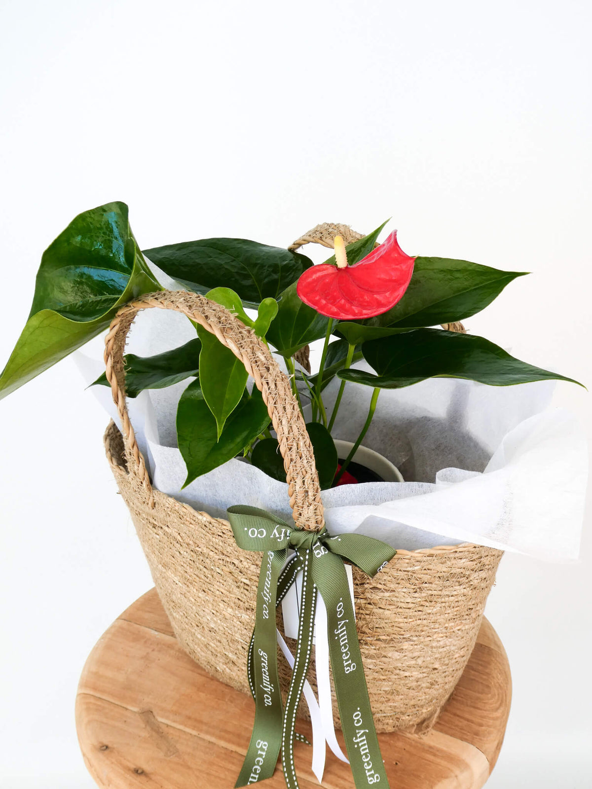 A potted anthurium plant in a woven natural fiber basket with white tissue paper and a green ribbon, displayed on a round wooden stand against a white background.