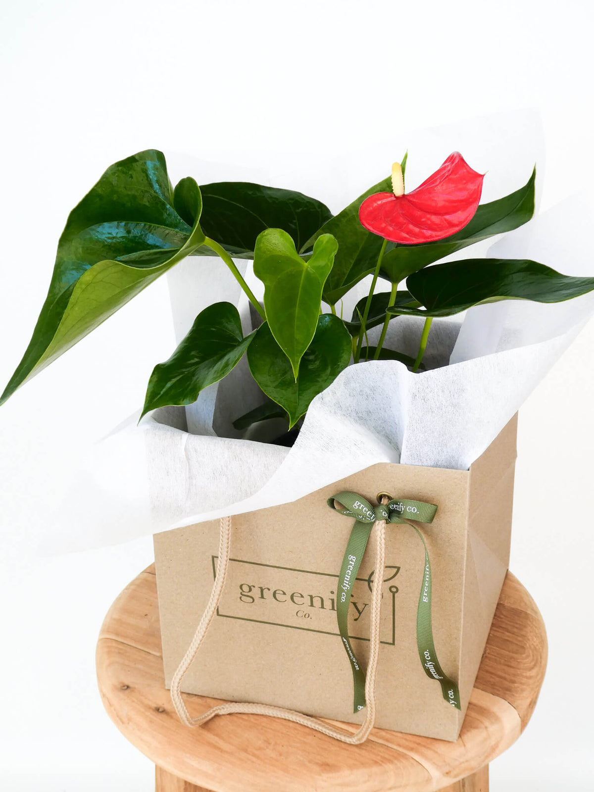 A potted anthurium plant with glossy green leaves and a bright red flower, presented in a brown kraft paper gift box with white tissue paper and a green ribbon, sitting on a round wooden stool against a white background.