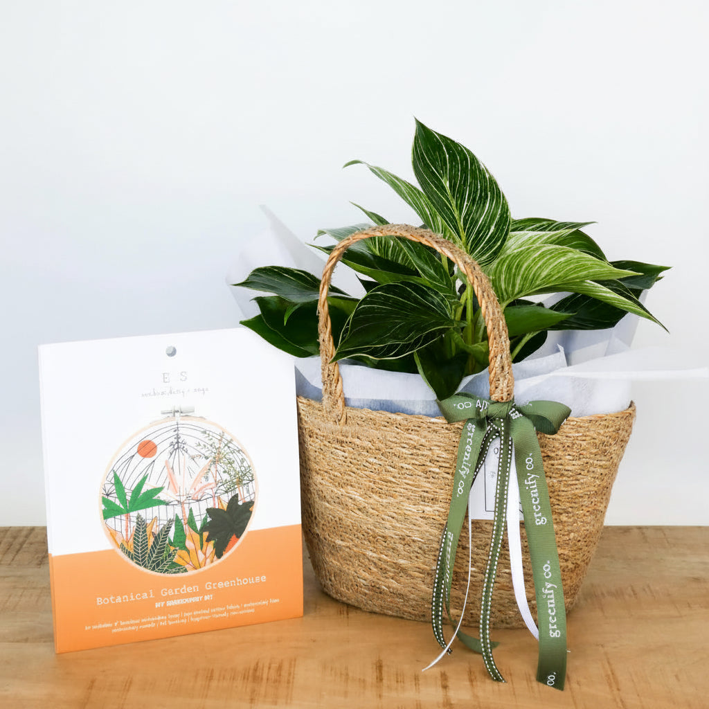 Botanical Mum 🩷