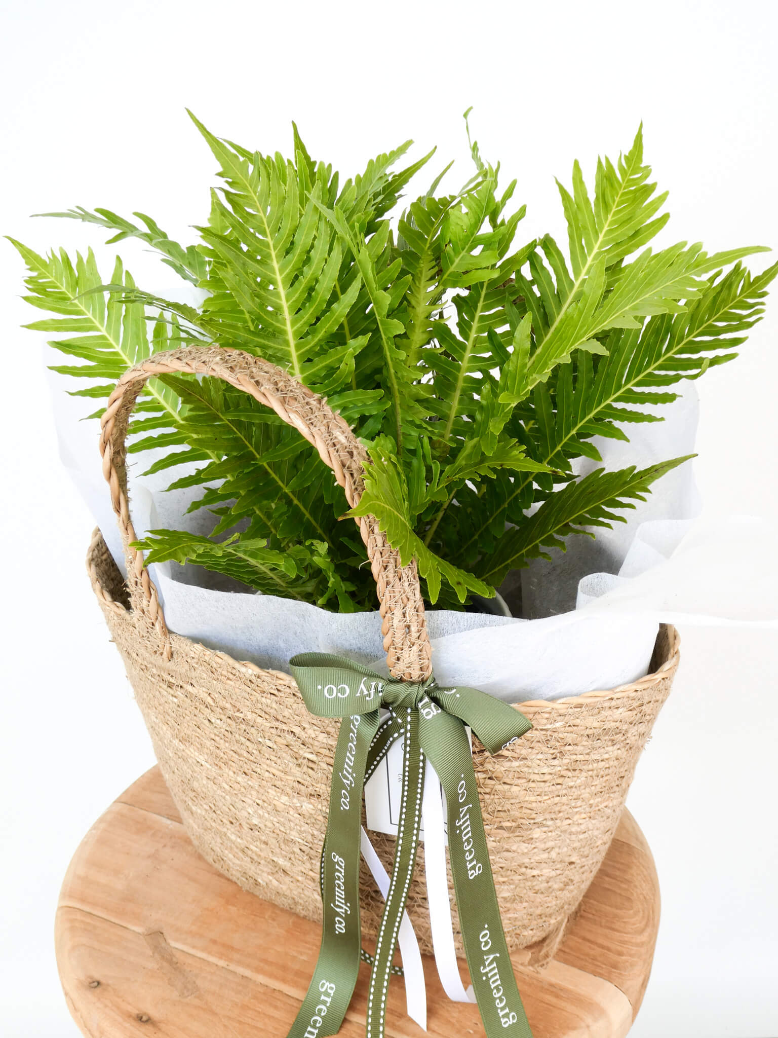A potted green fern in a woven natural fiber basket with a twine handle, white tissue paper lining, and an olive green ribbon tied in a bow, displayed on a round wooden surface against a white background.