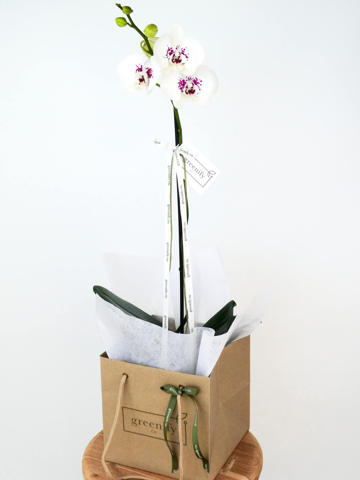 A single white orchid flower with purple and magenta centers, wrapped in white tissue paper and tied with a ribbon, displayed in a brown kraft paper gift bag with a green ribbon and tag, sitting on a round wooden coaster against a white background.