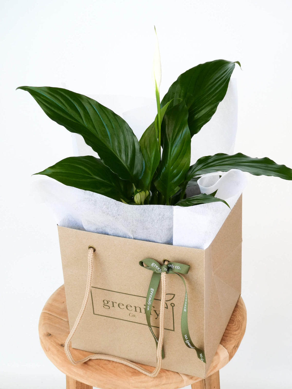 A potted peace lily plant in a kraft paper gift bag with white tissue paper and a green ribbon, displayed on a small wooden stool against a white background.