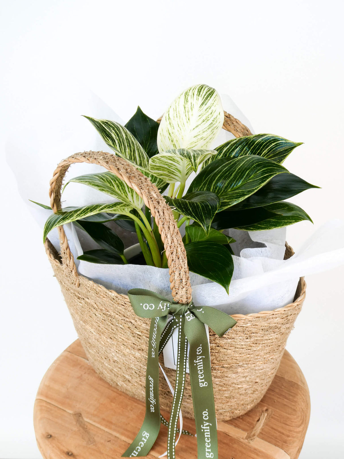 A woven natural-fiber basket filled with green and white variegated houseplants, wrapped in white tissue paper and tied with an olive green ribbon printed with the brand name 'greenleaf co.', displayed on a round wooden stand against a white background.