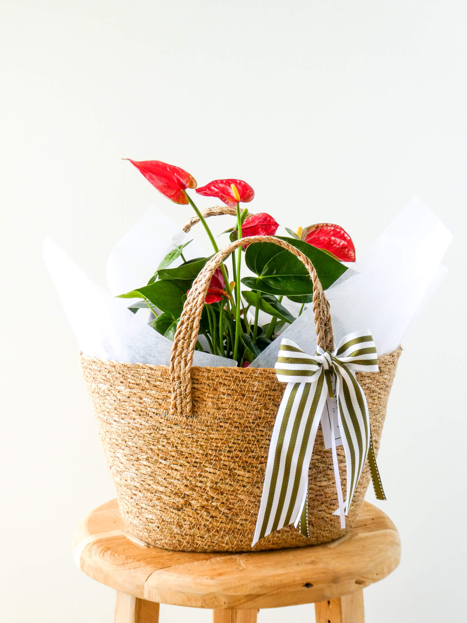 Red Anthurium in Piccolo Basket Bag, Greenify Co.