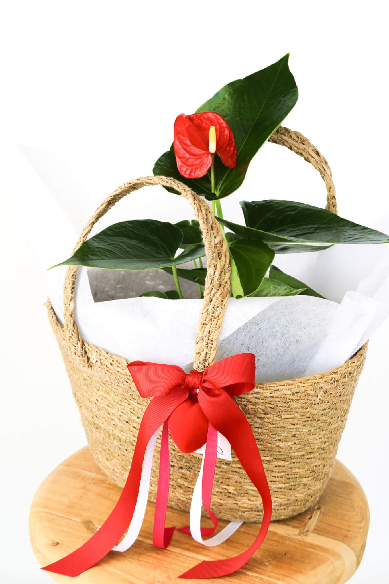 Flamingo Flower Basket