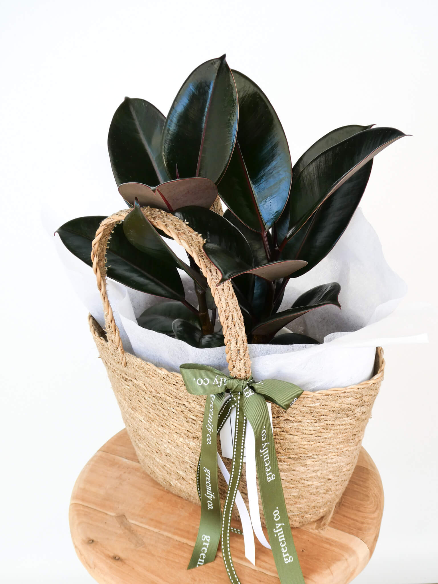 A potted rubber plant with glossy dark green leaves arranged in a woven natural fiber basket with twilly paper and an olive green ribbon bow, displayed on a round wooden stand against a white background.
