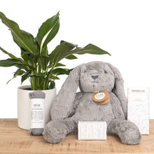 Load image into Gallery viewer, Bambino Hamper Bundle Contains Peace Lily Plant, Grey Bunny Soft Toy, Grey Baby Soap, Grey Wash Cloth and Organic Chocolate