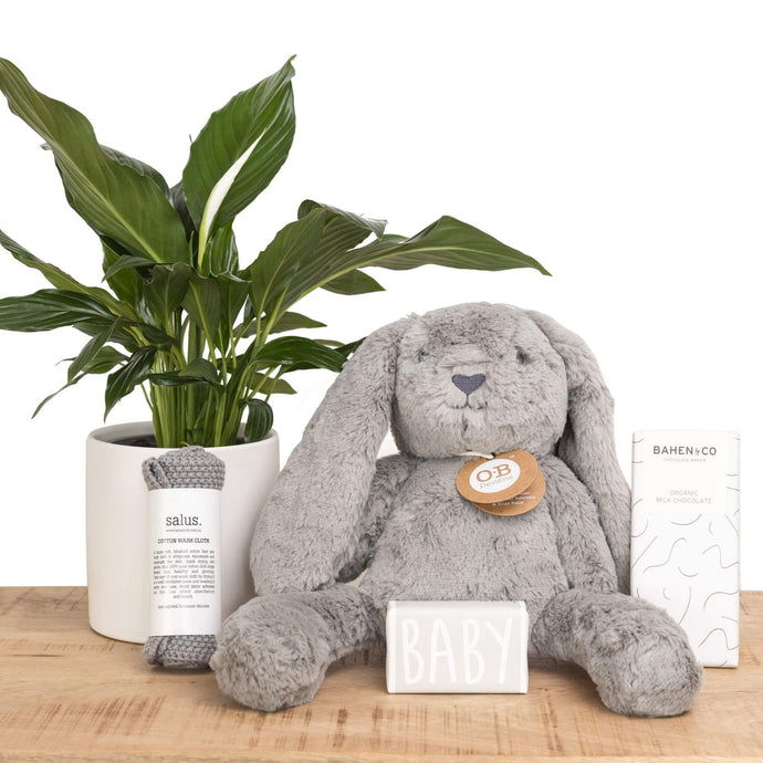 Bambino Hamper Bundle Contains Peace Lily Plant, Grey Bunny Soft Toy, Grey Baby Soap, Grey Wash Cloth and Organic Chocolate