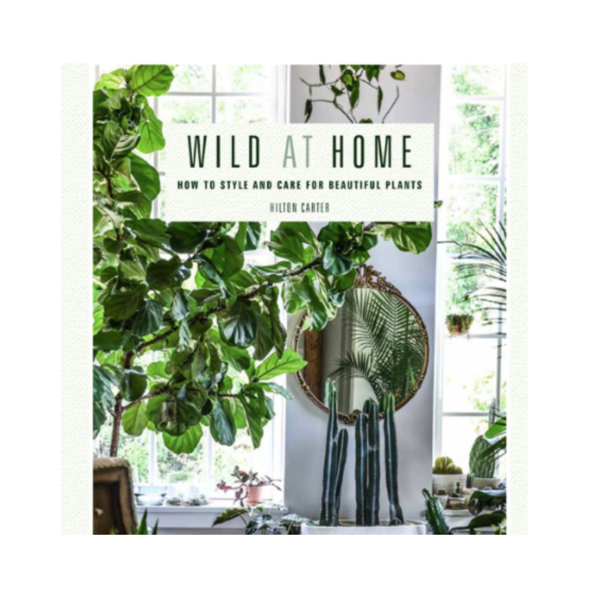 Wild at Home Book by Hilton Carter